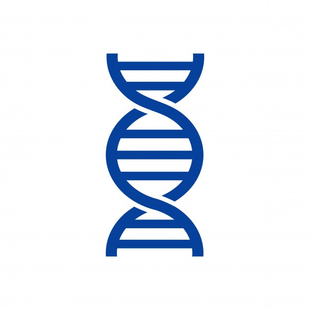Dna Vector Vector Premium Download 626x626 Dna Vector Vector Premium Download