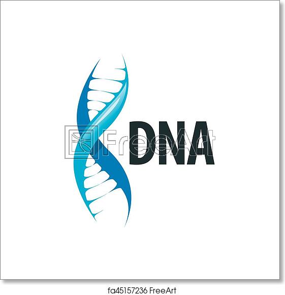 Free Art Print Of Vector Logo Dna Design Pattern Logo Dna Vector 561x581 Free Art Print Of Vector Logo Dna Design Pattern Logo Dna Vector