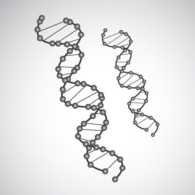 Kostenlose Clipart Und Vektorgrafiken Kostenlose Vektor Dna 400x400 Kostenlose Clipart Und Vektorgrafiken Kostenlose Vektor Dna