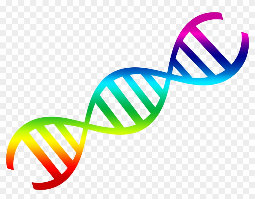 Pngpix Com Dna Vector Png Transparent Image 840x656 Pngpix Com Dna Vector Png Transparent Image