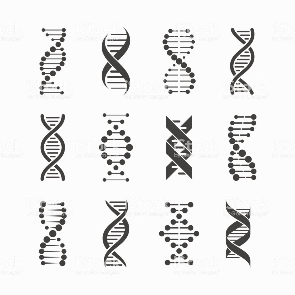 Dna Icons Set Vector Illustration, V 1024x1024 Dna Icons Set Vector Illustration, V