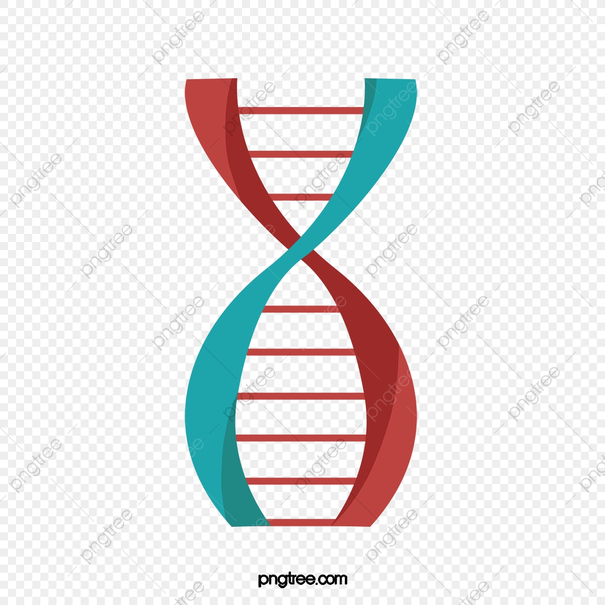 Dna Material, Dna, Vector, Rotation Png And Vector 1200x1200 Dna Material, Dna, Vector, Rotation Png And Vector
