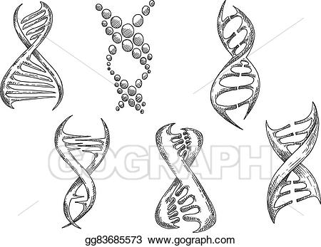Dna Vector Art