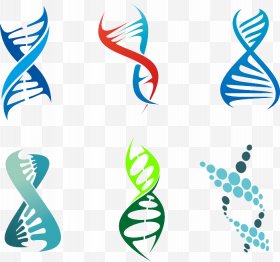 280x262 Dna Images, Dna Png, Free Download, Clipart