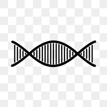 360x360 Dna Png, Vector, And Clipart With Transparent Background