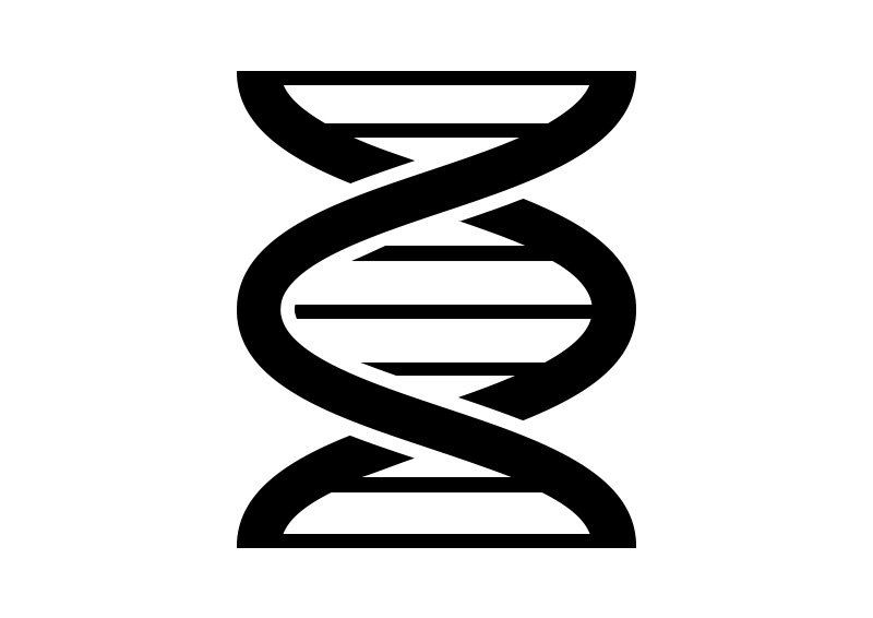 800x566 Dna Vector Icon
