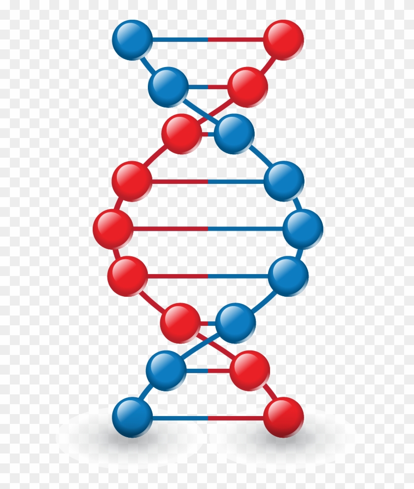 840x992 Dna Vector Model