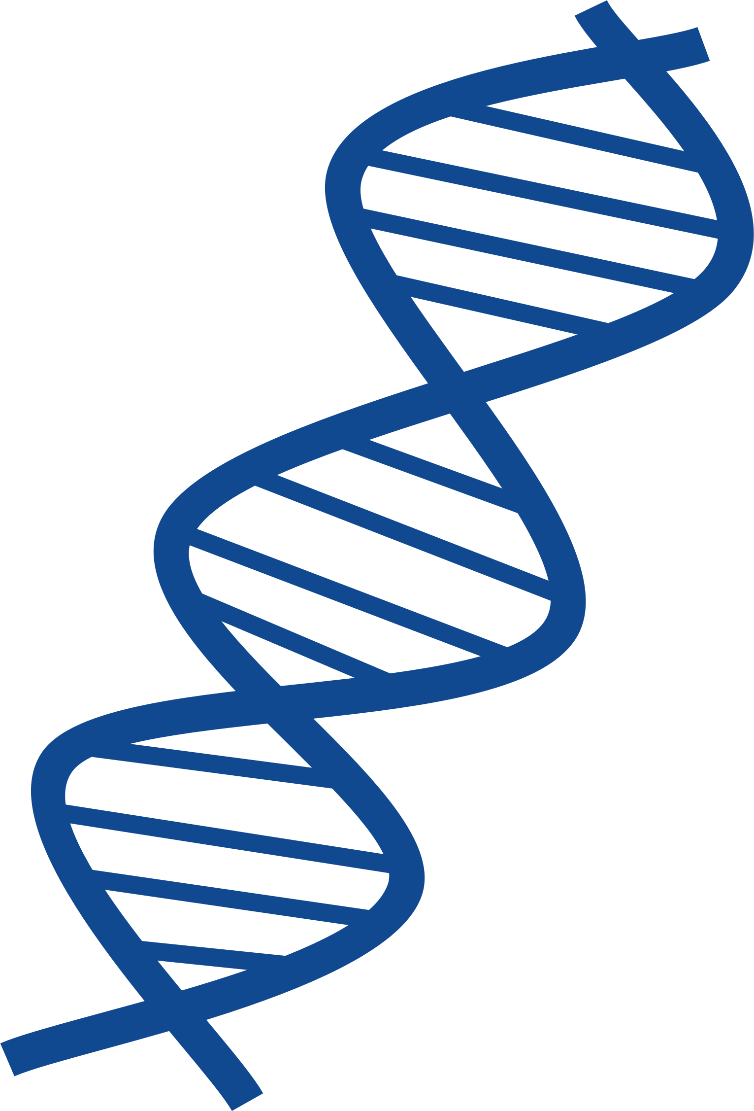 1531x2254 Dna Clipart Vector For Free Download And Use Images