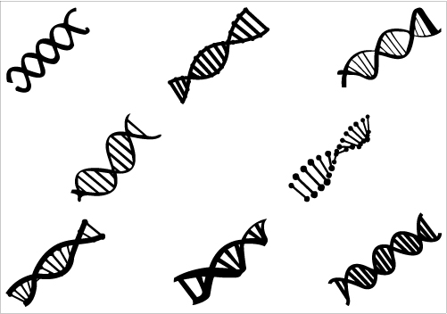 501x352 Dna Silhouette Vector Clipartsilhouette Clip Art
