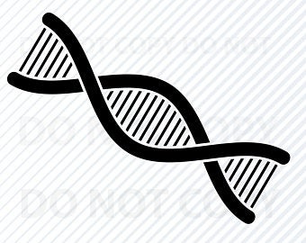 340x270 Dna Strand Etsy