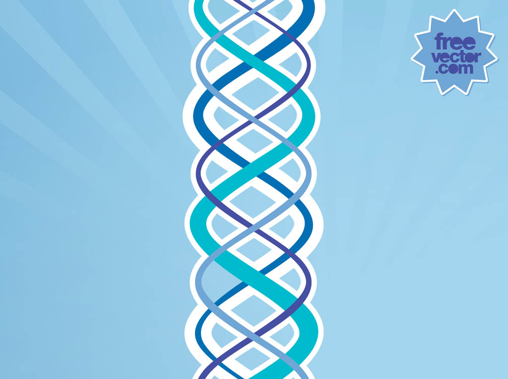 1024x765 Vector Dna Vector Art Graphics