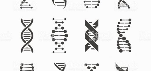 520x245 Vector Minimalistas Dna Icons Set Royalty Free Dna Icons Set Stock