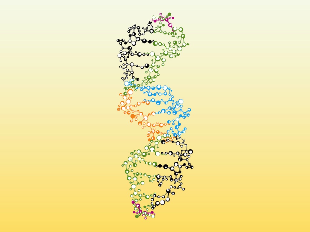 1024x766 Colorful Dna Vector Art Graphics