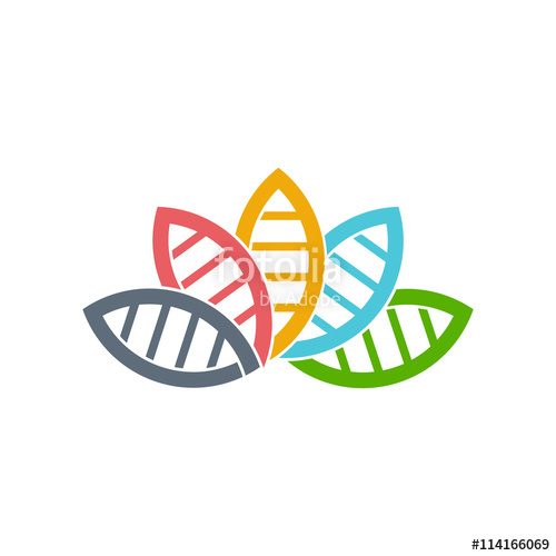 500x500 Dna Biology Group Of Leaves Logo Vector Graphic Design Stock