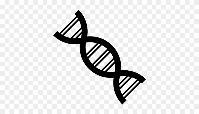 840x481 Dna Strand Vector