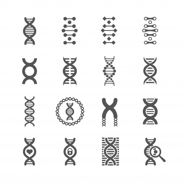 626x626 Dna Vector Vectors, Photos And Free Download