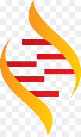 260x440 Dna Vector Png Free Download