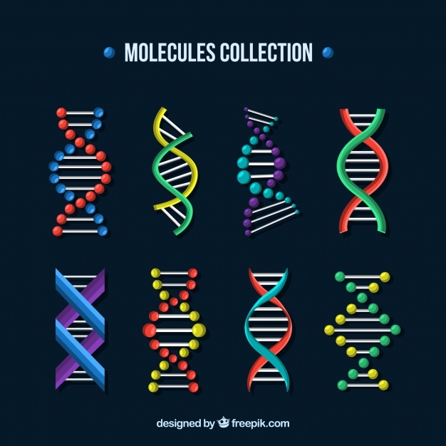626x626 Dna Vectors, Photos And Free Download