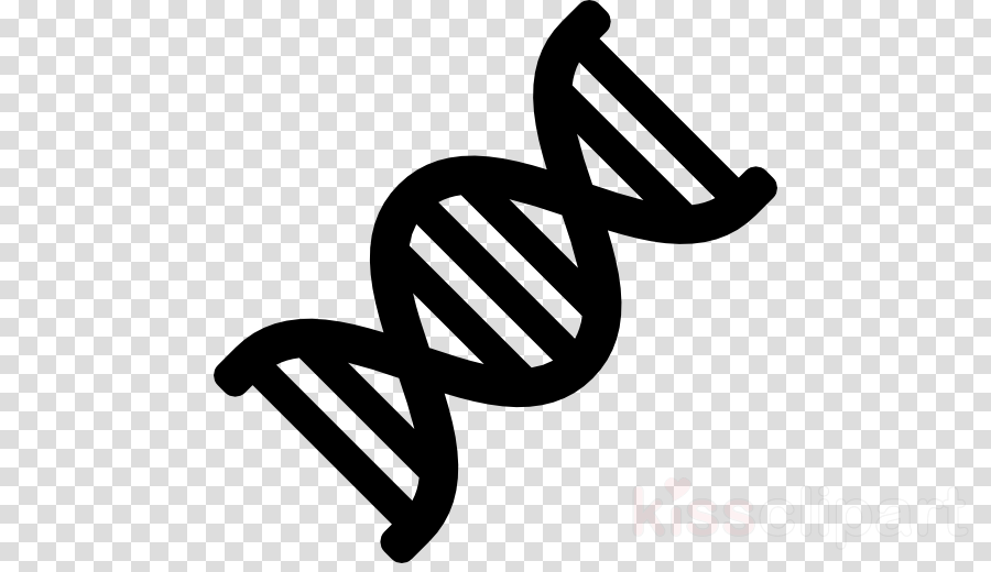 900x520 Dna Clipart Vector For Free Download And Use Images