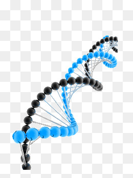 260x348 Dna Clipart Vector Illustration For Free Download And Use Images