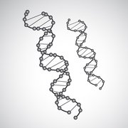 180x180 Free Dna Clipart And Vector Graphics