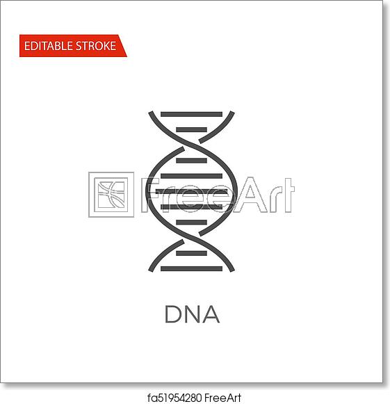 561x581 Free Art Print Of Dna Vector Icon Dna Thin Line Vector Icon Flat
