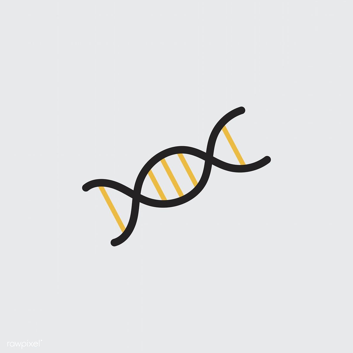 1200x1200 Illustration Of Dna Double Helix Free Image