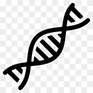 320x320 Png Dna Vector Freeuse