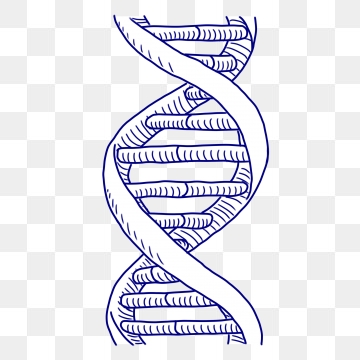 360x360 Dna Png, Vector, And Clipart With Transparent Background