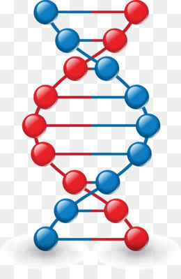 Dna Vector Png Free Download 260x400 Dna Vector Png Free Download