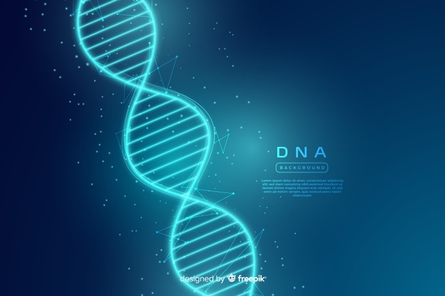 Dna Vectors, Photos And Free Download 626x417 Dna Vectors, Photos And Free Download