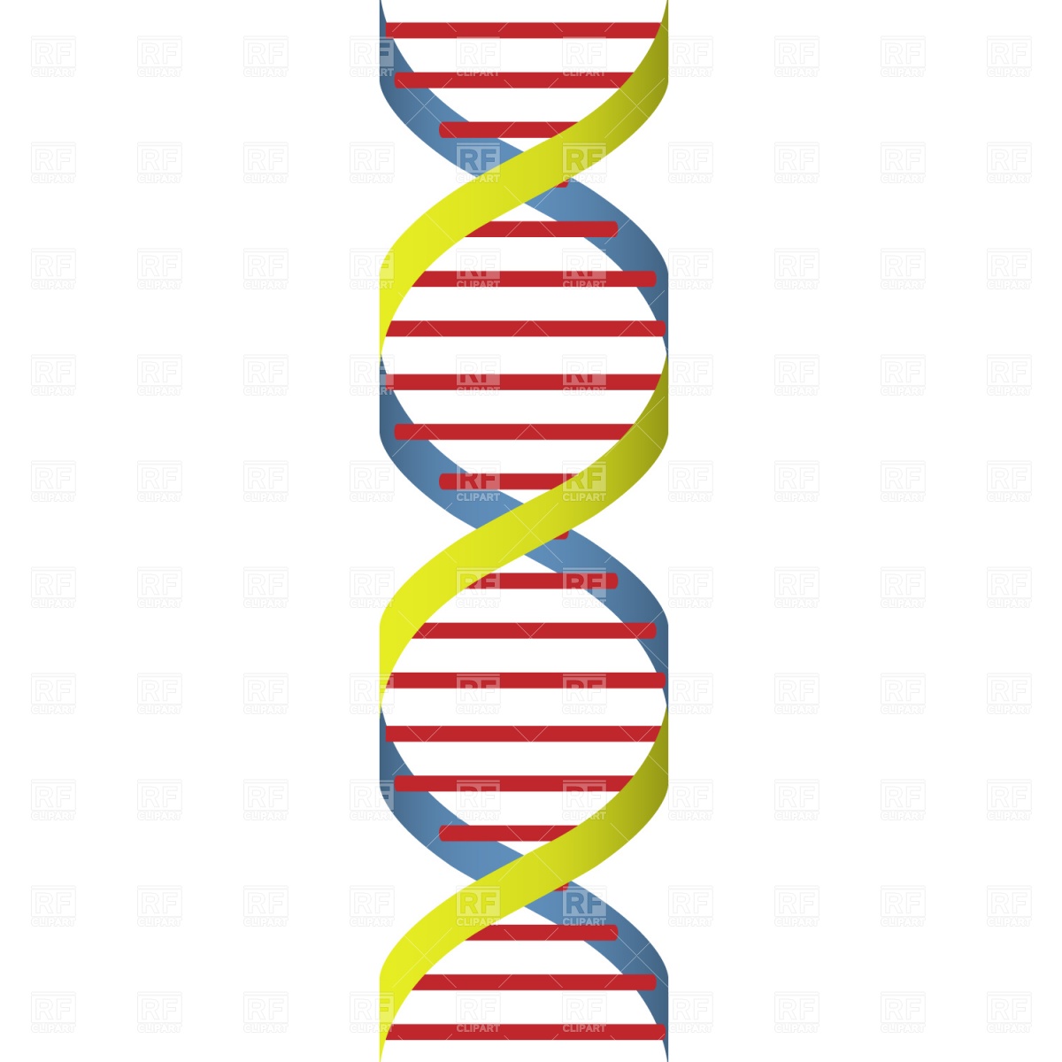 Dna Clipart Vector Clip For Free Download And Use Images 1200x1200 Dna Clipart Vector Clip For Free Download And Use Images
