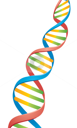 Dna Clipart Vector For Free Download And Use Images 270x450 Dna Clipart Vector For Free Download And Use Images