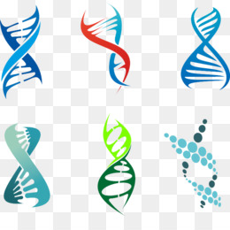 Dna Png Free Download 260x260 Dna Png Free Download