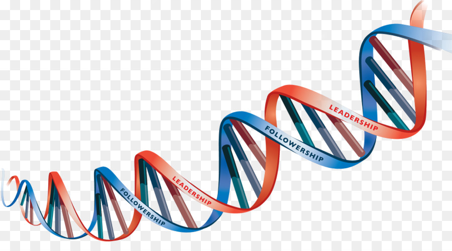 Download Free Png Dna Heredity Clip Art Dna Vector Png Download 900x500 Download Free Png Dna Heredity Clip Art Dna Vector Png Download