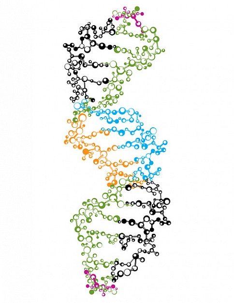 Dna Vector Free Download at Vectorified.com | Collection of Dna Vector ...