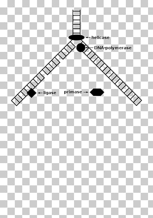 Page Dna Vector Png Cliparts For Free Download Uihere 310x441 Page Dna Vector Png Cliparts For Free Download Uihere