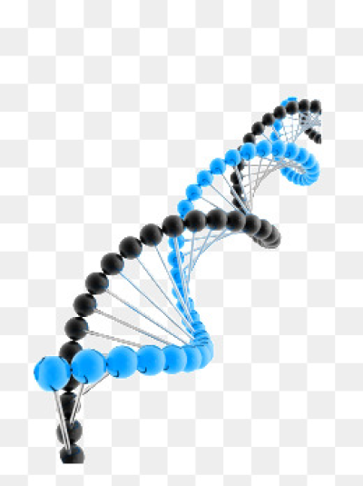Dna Png 400x535 Dna Png