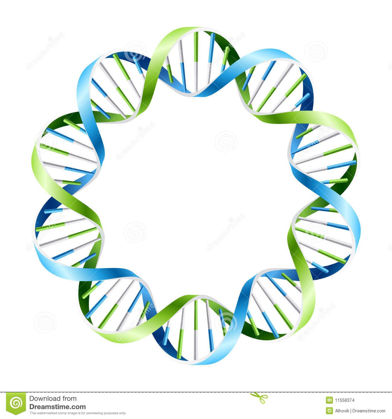 Dna Strands On Circle 1300x1390 Dna Strands On Circle