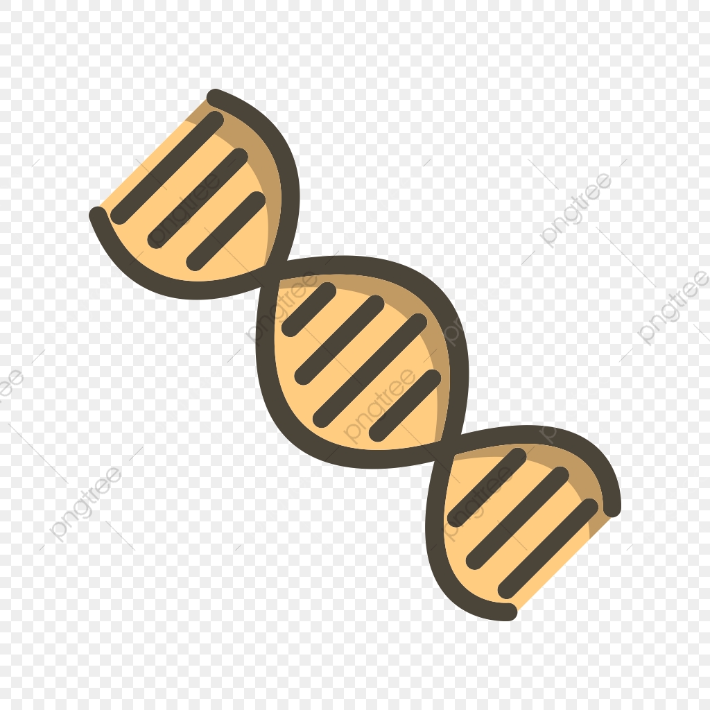 Dna Vector Icon, Dna Icon, Genetics Icon, Helix Icon Png 1024x1024 Dna Vector Icon, Dna Icon, Genetics Icon, Helix Icon Png