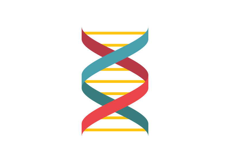 Dna Flat Style Vector Icon 800x566 Dna Flat Style Vector Icon