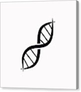 Dna Vector Icon Framed Print 163x186 Dna Vector Icon Framed Print