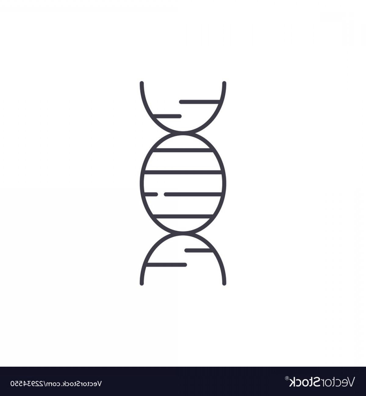 Dna Vector Illustrator at Vectorified.com | Collection of Dna Vector ...