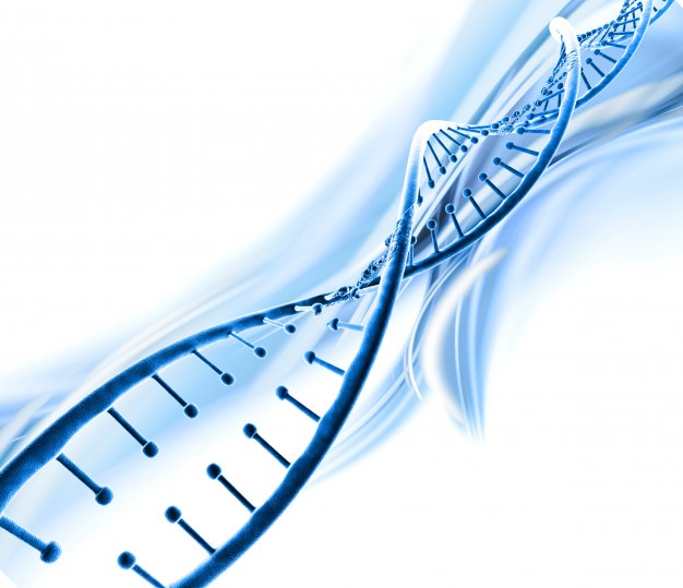 dna vector illustrator free download