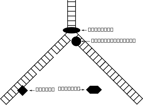 483x356 Dna Vector Free Vector Download