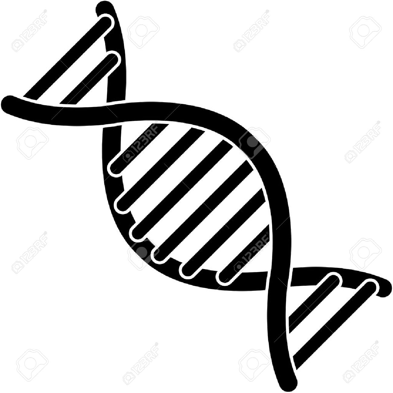 1300x1300 Simple Dna Strand Clipart