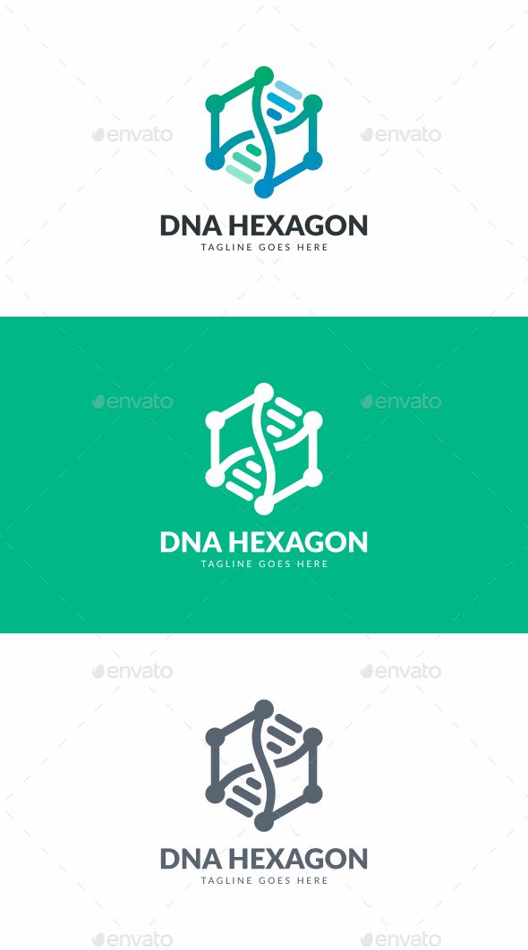 590x1062 Dna Hexagon Logo Template Vector Illustrator Logo