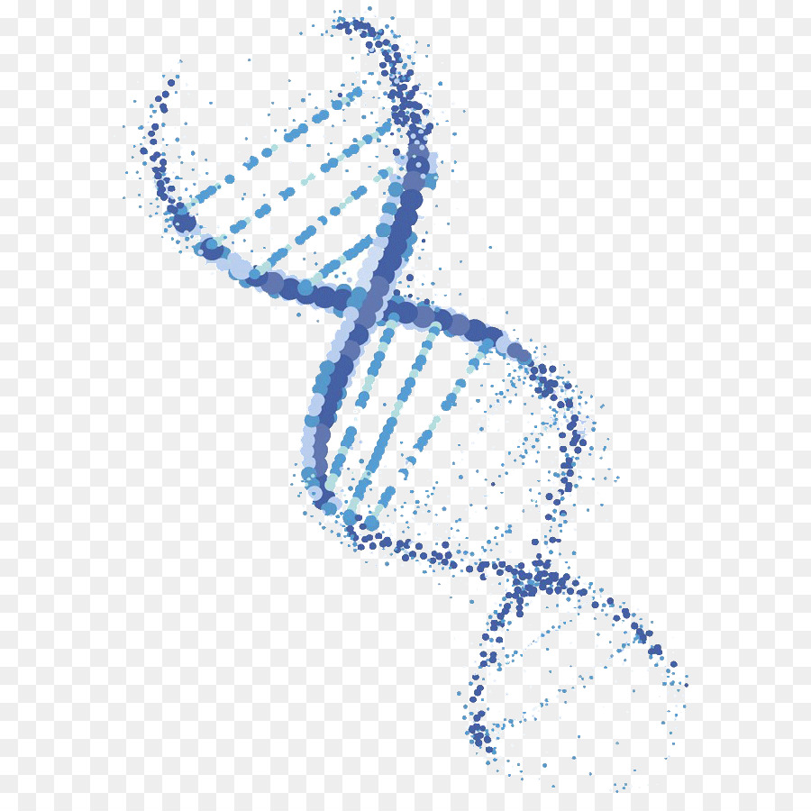 900x900 Download Free Png Dna Vector Genetically Modified Organism