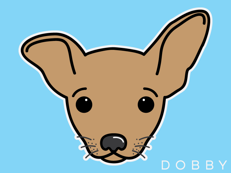 800x600 Dobby The Pup