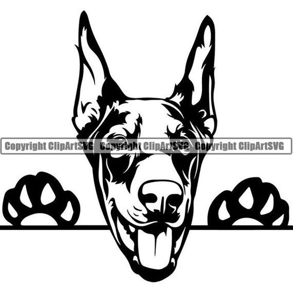 570x570 Doberman Pinscher Peeking Dobe Dog Breed Pedigree Canine Etsy